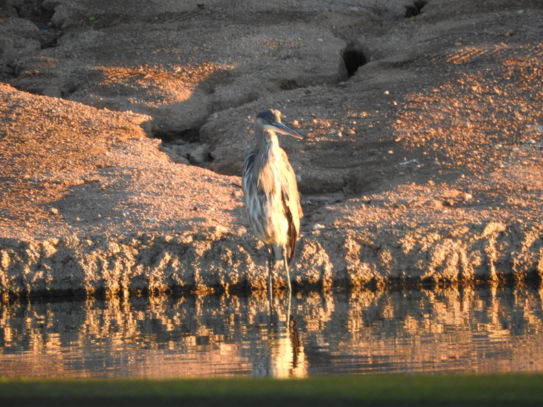 DSCN2631.JPG