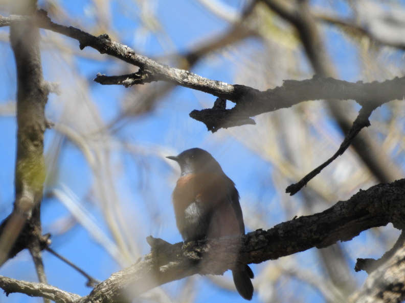 DSCN3786.JPG