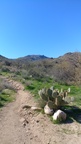 White Tanks towers from Mesquite Canyon Trail