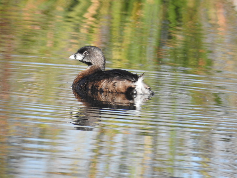 DSCN4752.JPG