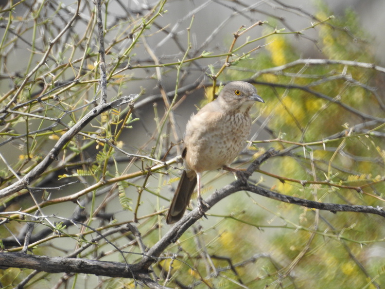 DSCN5958.JPG