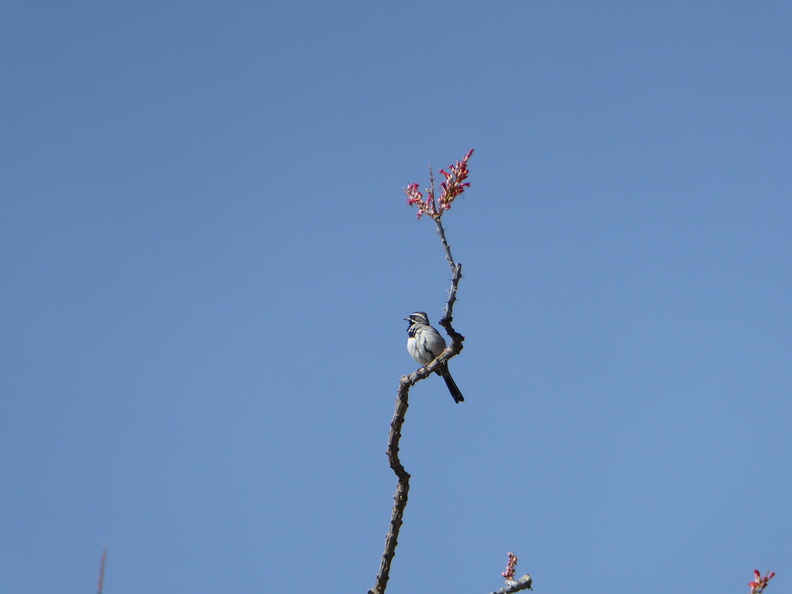 P1000332.JPG