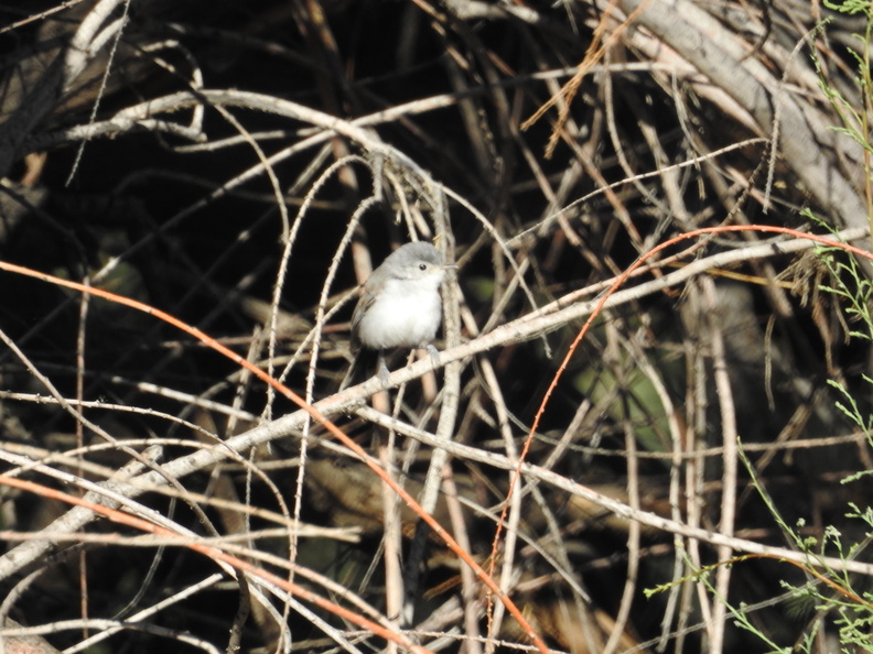 DSCN7559.JPG