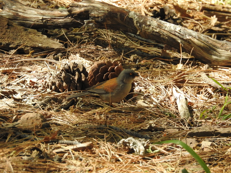 DSCN8767.JPG